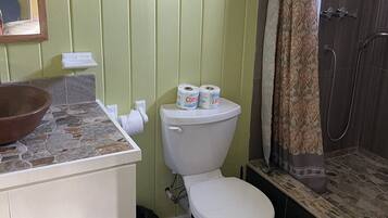Shower, towels, soap, toilet paper