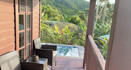 Comfortable cottage with a fantastic view