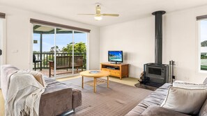 TV, fireplace, DVD player