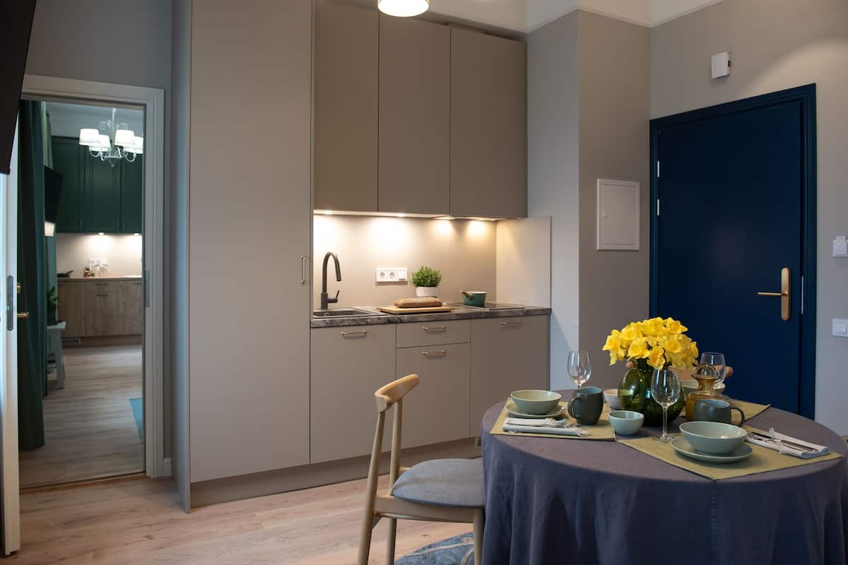 Klassiek appartement, 2 slaapkamers | Privékeuken | Een mini-koelkast, een magnetron, een kookplaat
