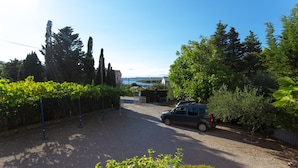 A driveway leading to a house with a parked car, surrounded by greenery and trees.