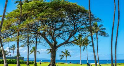 Leinaala Oceanfront #100 Steps from Ocean! Steps from Pool, A/C! Ocean Views