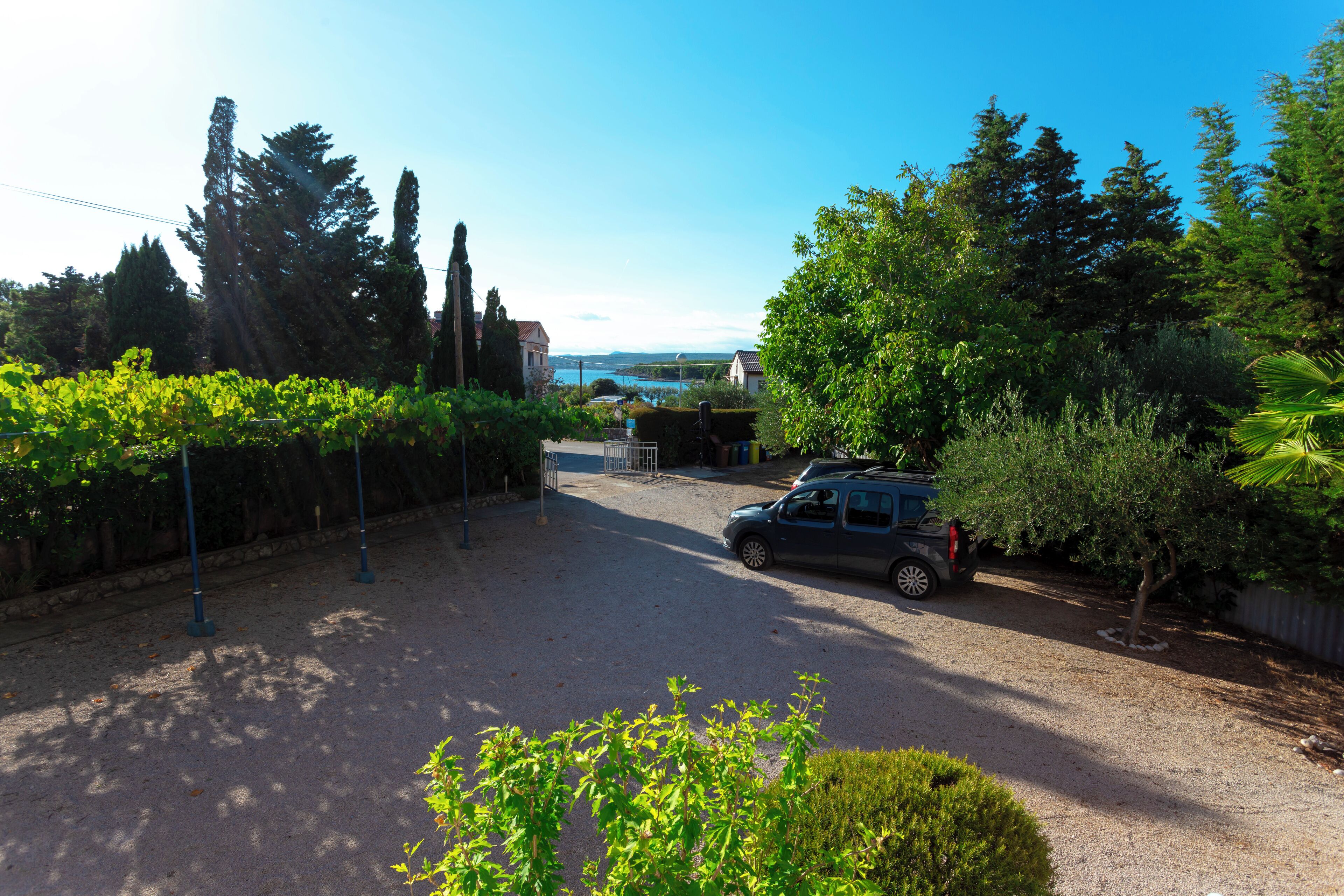 Une allée menant à une maison où une voiture est garée, le tout entouré de verdure et d’arbres.