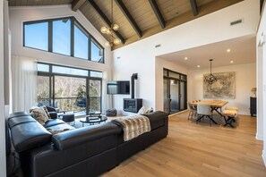 Smart TV, fireplace, stereo