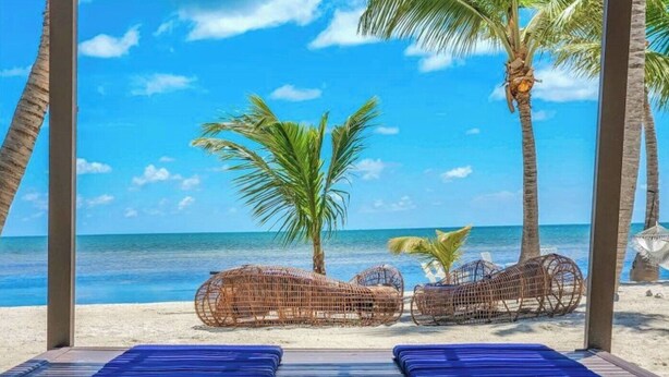 A beach view with a wooden pergola, two wicker lounge chairs, and a palm tree.