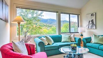 Smart TV, fireplace, DVD player, books