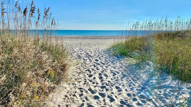 A sandy beach path leading to the ocean, surrounded by tall grasses. - Pet-friendly, 3 Blocks to Beach, Pool, #104 (Atlantic Beach)