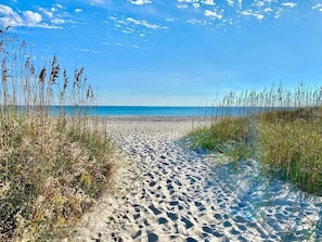Ein Sandweg am Strand führt zum Meer, umgeben von hohem Gras.