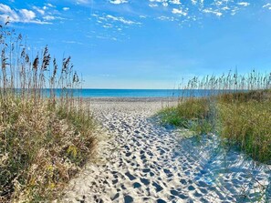 A sandy beach path leading to the ocean, surrounded by tall grasses. - Pet-friendly, 3 Blocks to Beach, Pool, #107 (Atlantic Beach)
