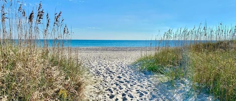 A sandy beach path with tall grasses on either side, leading to a calm sea under a clear sky.