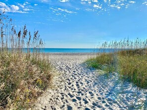 Un sentier de sable bordé de hautes herbes de chaque côté, qui mène à un ciel bleu clair et à l’océan.