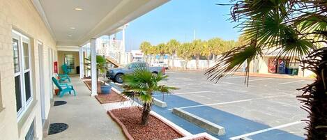 A covered outdoor area with a parking lot, a small palm tree, and a building with windows and a door.
