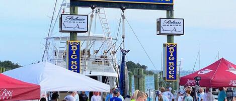 A crowd at a fishing event with a large sign reading 'BIG ROCK LANDING' and a boat in the background.