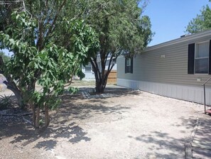 Property grounds - THE HOUSE OF PHARR (Pharr)