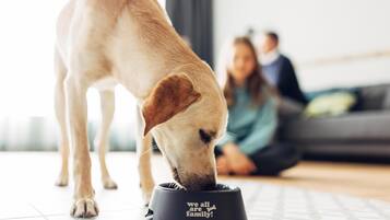 Un perro comiendo de un plato, con el texto 'todos somos familia' en el suelo.