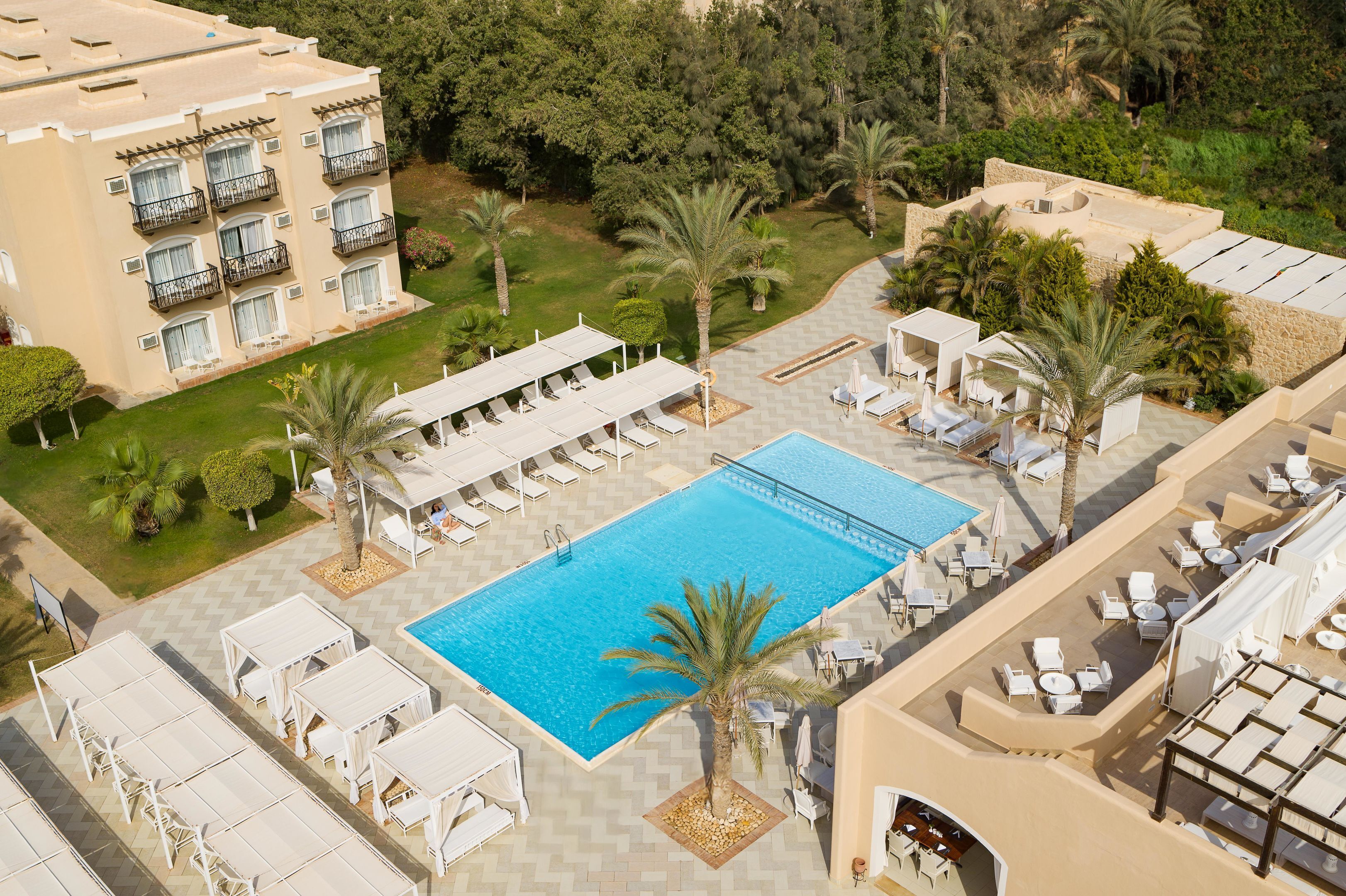 Outdoor pool, sun loungers
