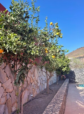 Overnatningsstedets område