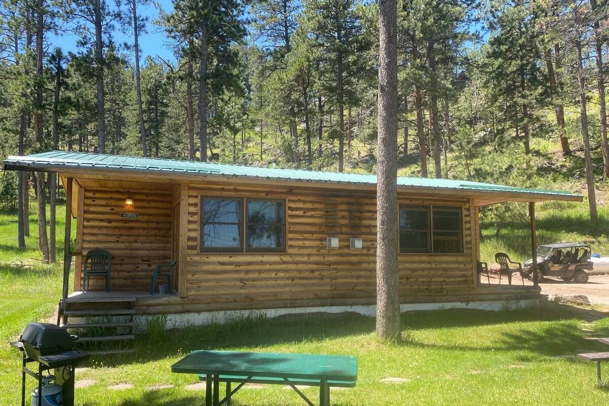 A wooden cabin with a green roof, a picnic table, and a grill.