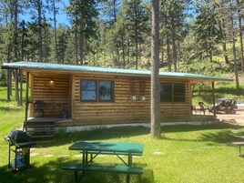 A wooden cabin with a green roof, a picnic table, and a grill.