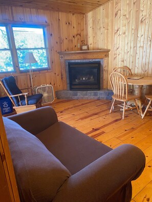 Birch | Living area | 42-inch flat-screen TV with cable channels, TV - Timber Haven Cabins (Hill City)