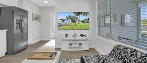 TV