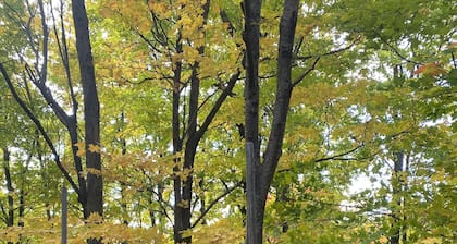 Lake & Mount Sunapee Apartment Getaway