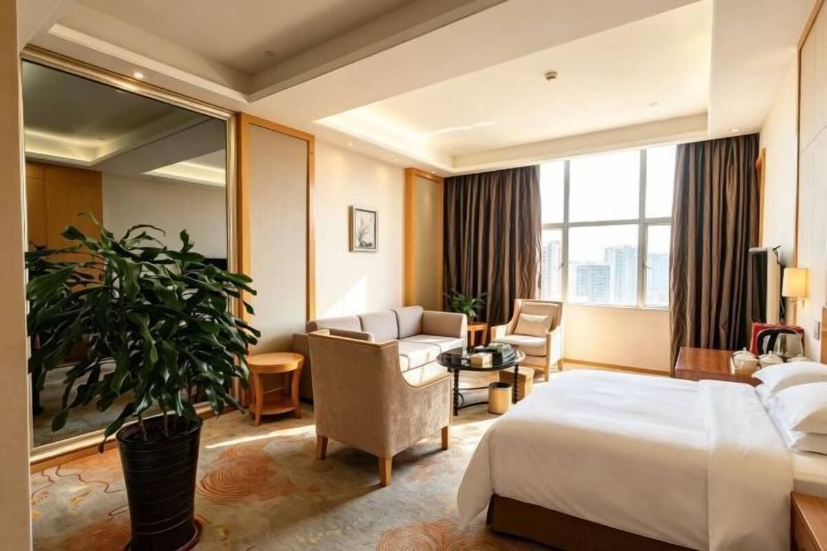 Habitación de hotel con cama, sofá, sillón, mesita, planta en maceta y ventana grande.