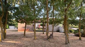 Terrein van de accommodatie