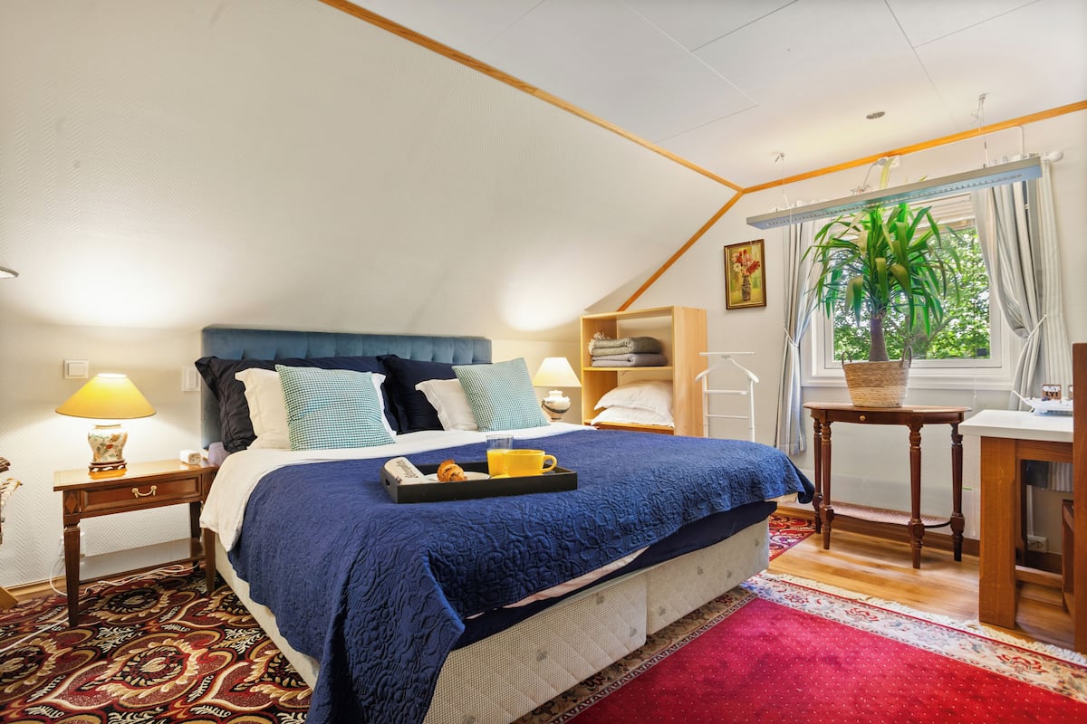 A bedroom with a bed, bedside tables, a desk, a window with curtains, and a plant.