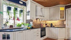 Una cocina con armarios blancos, un horno negro y una ventana con plantas colgantes.