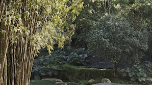 Un sendero de piedra que atraviesa un jardín con bambú, helechos y un pequeño puente.