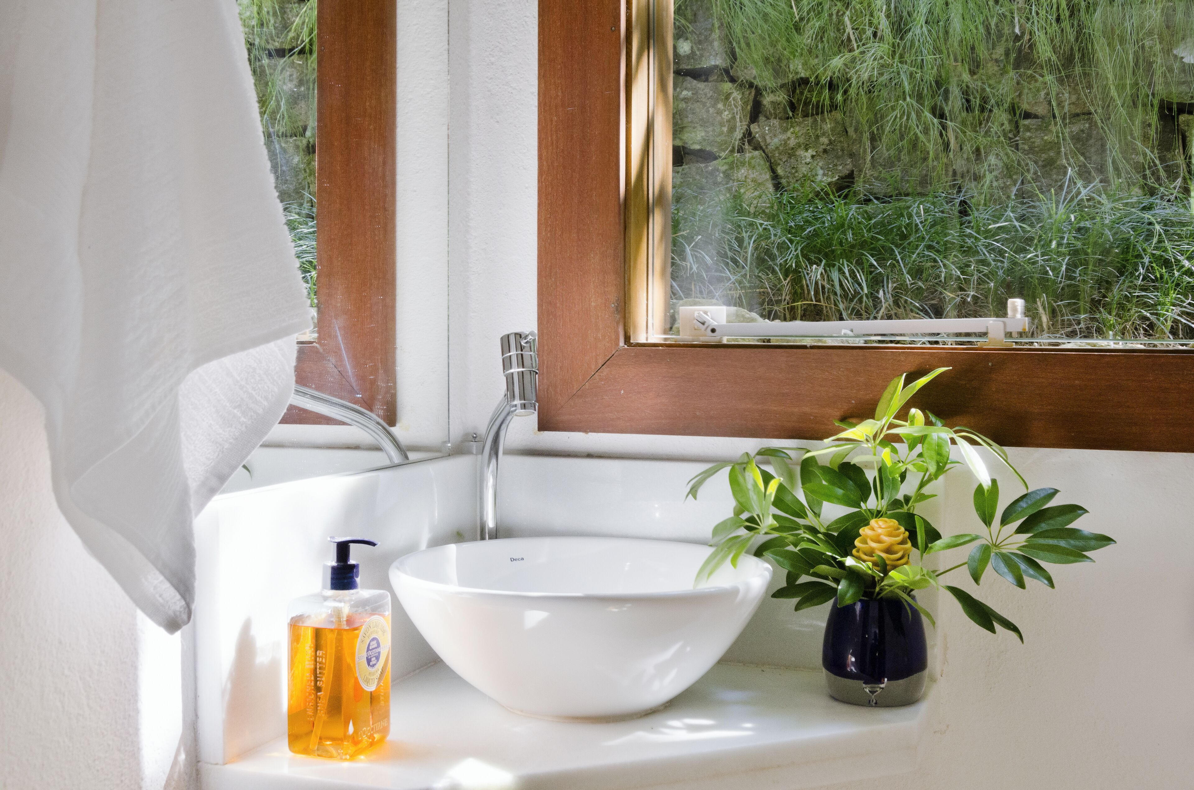 Une salle de bain avec un lavabo blanc, un flacon de savon liquide et une plante en pot.
