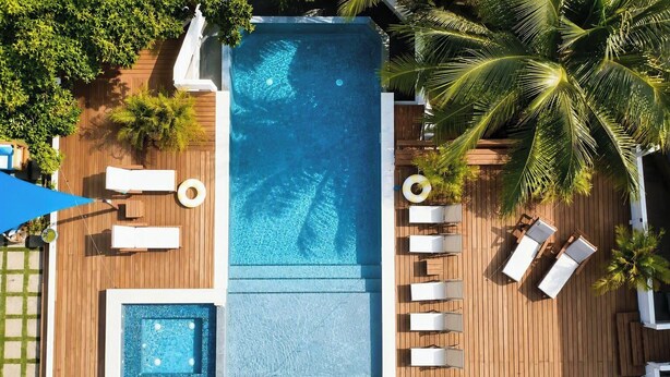 Piscina en la azotea con terraza de madera, sillas de descanso y palmeras.