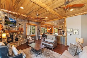 TV, fireplace