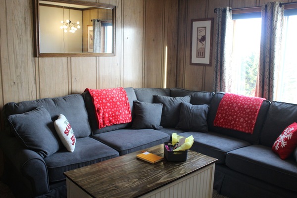 Smart TV, DVD player, books, video library