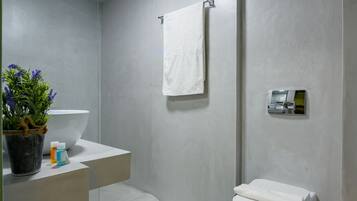 Deluxe Double Room | Bathroom | Shower, hair dryer, towels