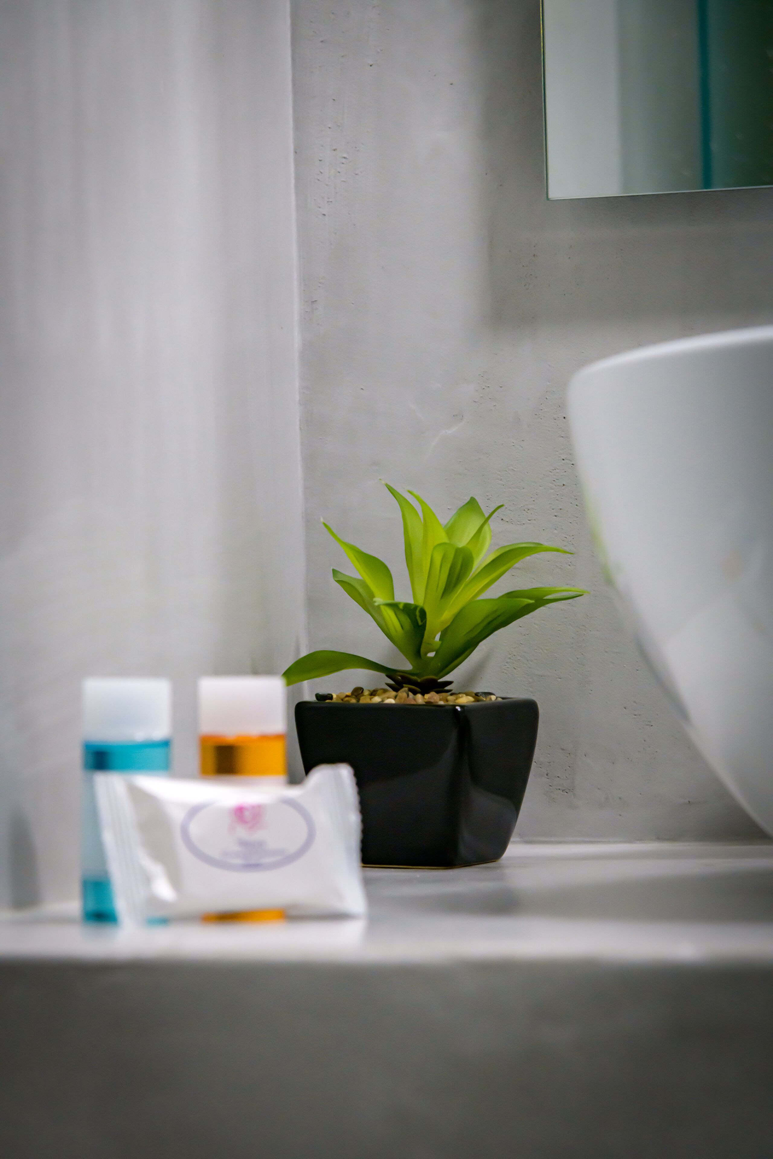 A bathroom with a white sink, a potted plant, and toiletries on the counter.