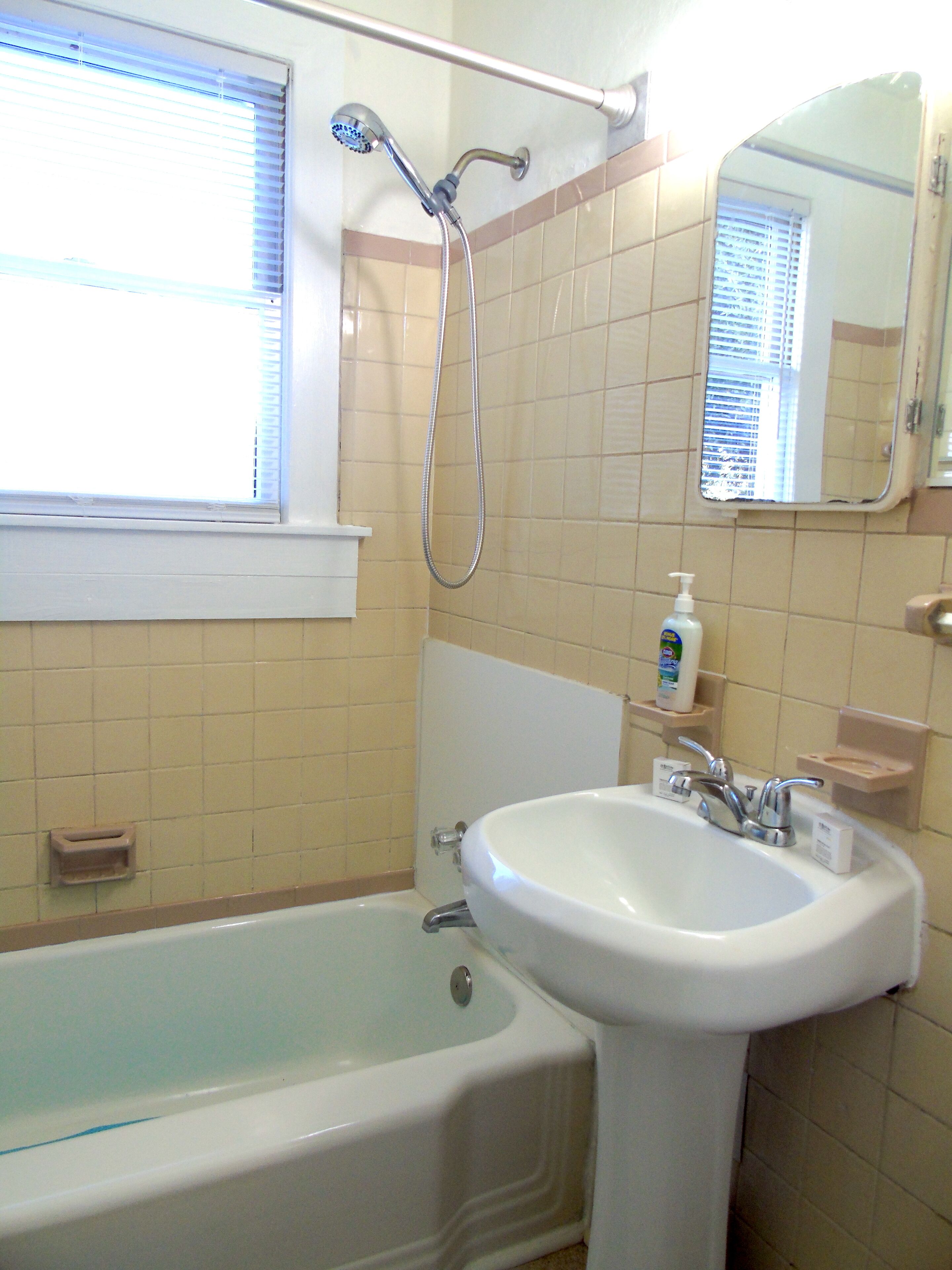 Une salle de bain avec une baignoire, un lavabo, une pomme de douche, une fenêtre et un miroir.