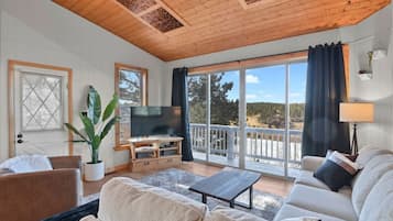 Een smart-tv, een open haard, boeken en een stereo