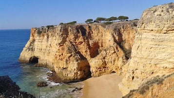 Plage à proximité, chaises longues, serviettes de plage