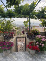A rooftop garden with potted plants and a view of the cityscape.