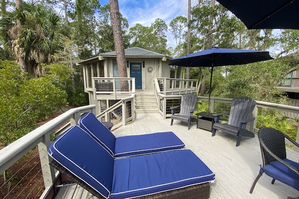 テラス / パティオ