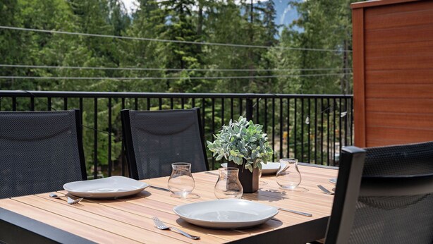 An outdoor dining table with chairs, a potted plant, and a view of a forest and mountains.