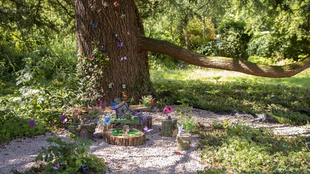 A tree with a branch extending over a gravel path, surrounded by greenery and small decorative items. - Stunning 1-bed Cottage With Hot Tub in Ross-on-wye (Ross-on-Wye)