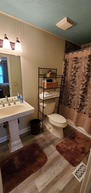 Ducha y bañera combinadas, secador de pelo, toallas y jabón