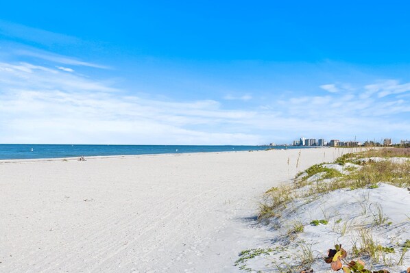 On the beach - Spectacular Clearwater Beach Condo! (Clearwater)