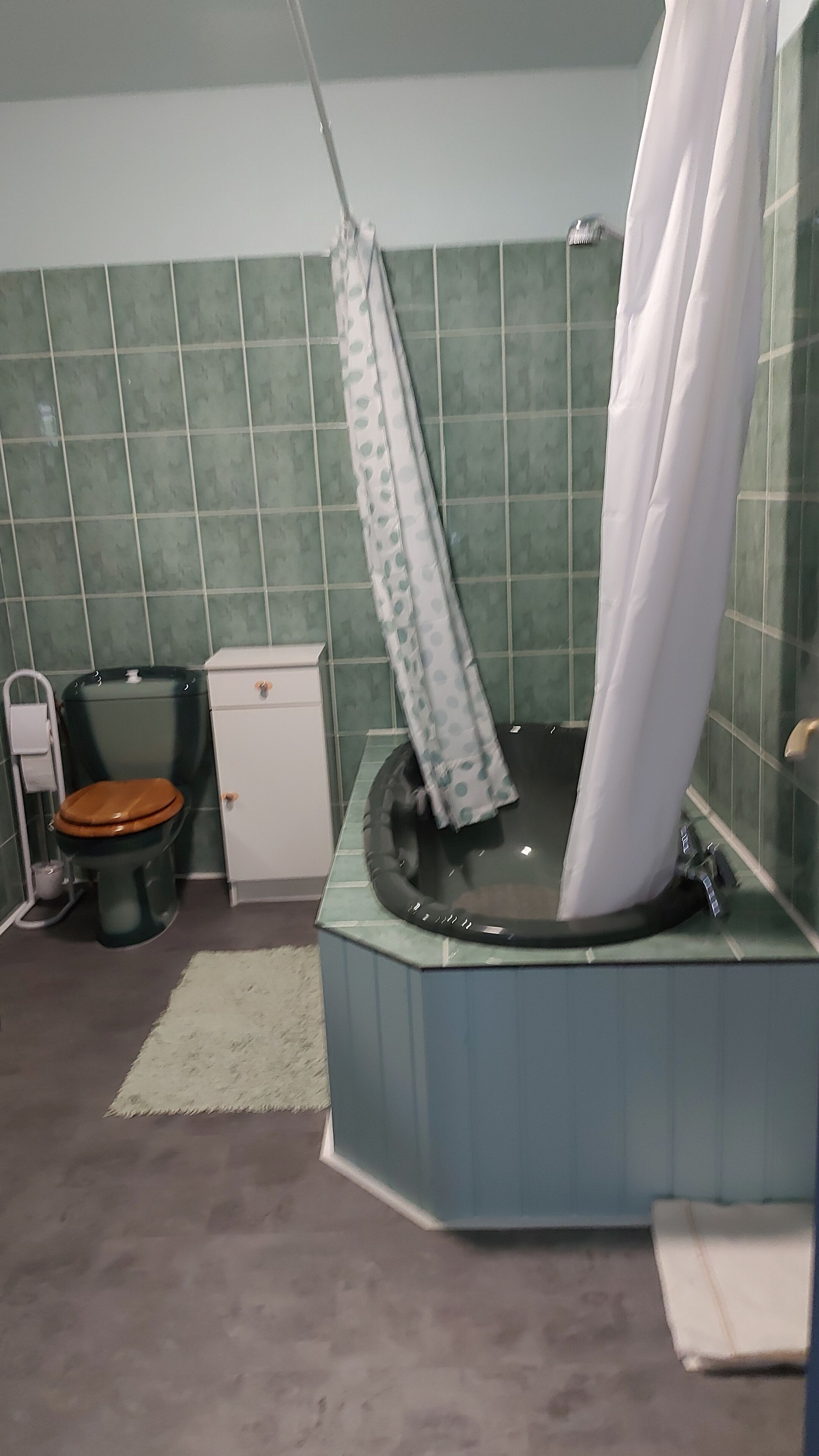 Ensemble douche/baignoire, sèche-cheveux, serviettes fournies, savon