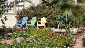 A garden with colorful chairs and a variety of plants.