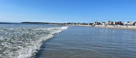 ハウス ベッド (複数台) (Beach House) | ビーチ