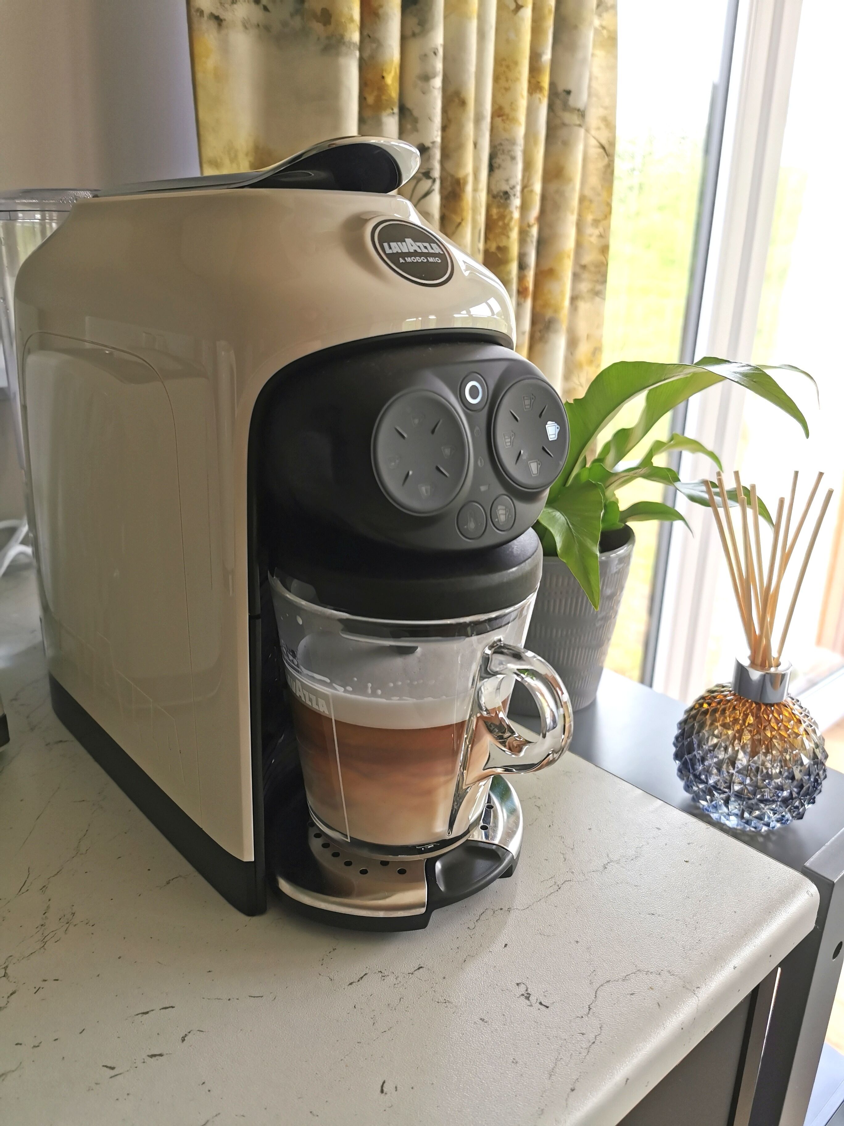 Gamba de cafè amb un recipient transparent per al cafè sobre una superfície de cuina prop d'una finestra amb cortines.